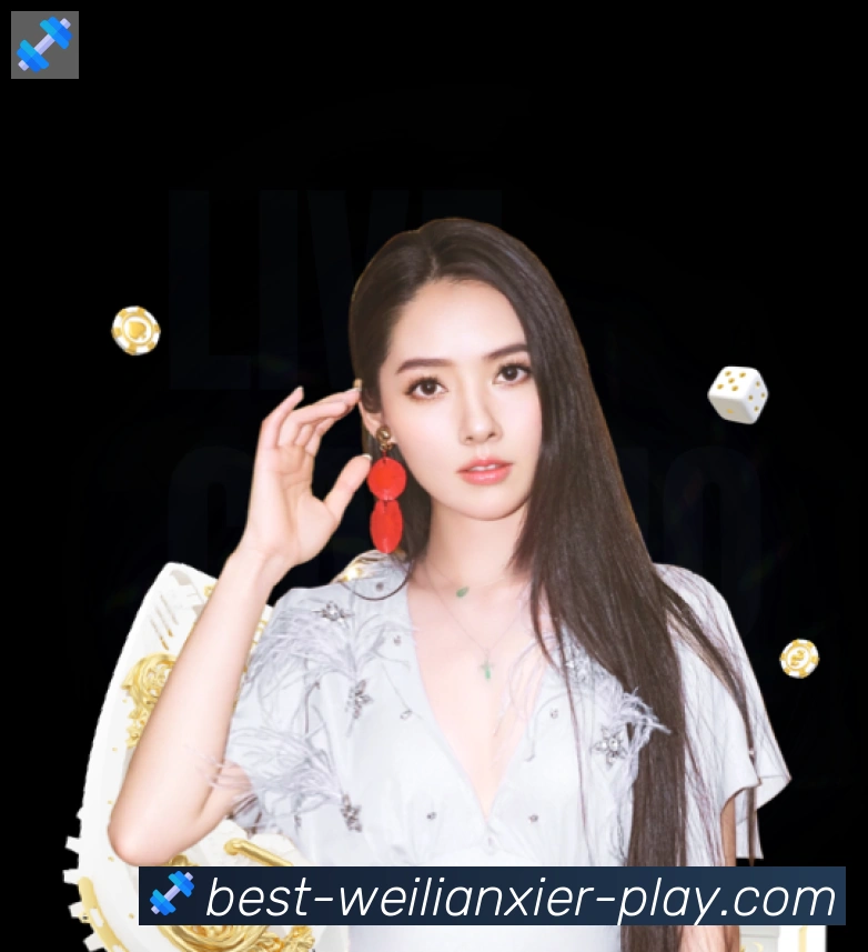 未来规划
